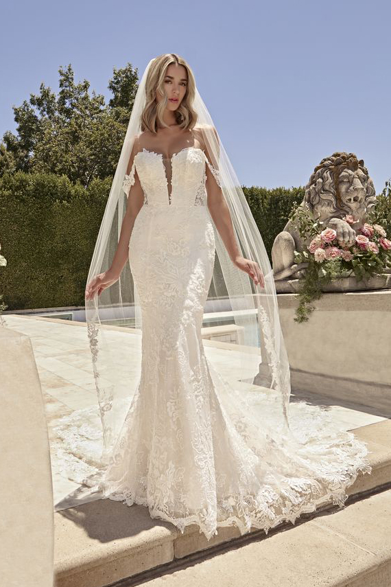 Off-the-shoulder lace fit-and-flare wedding dress with veil