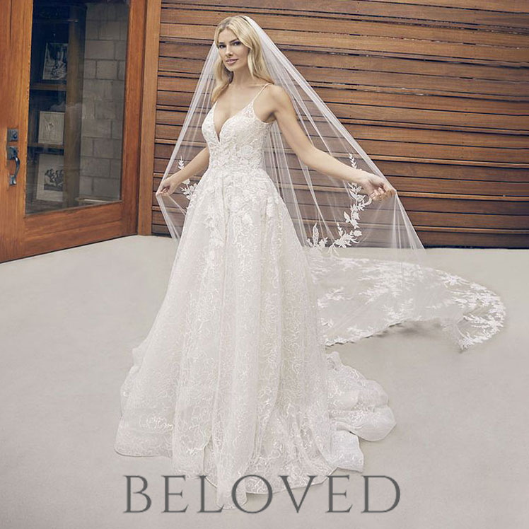 Beautiful classic sleeveless A-line wedding dress with veil
