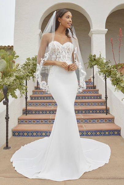 Straples Fit-and-Flare Wedding Dress With Veil